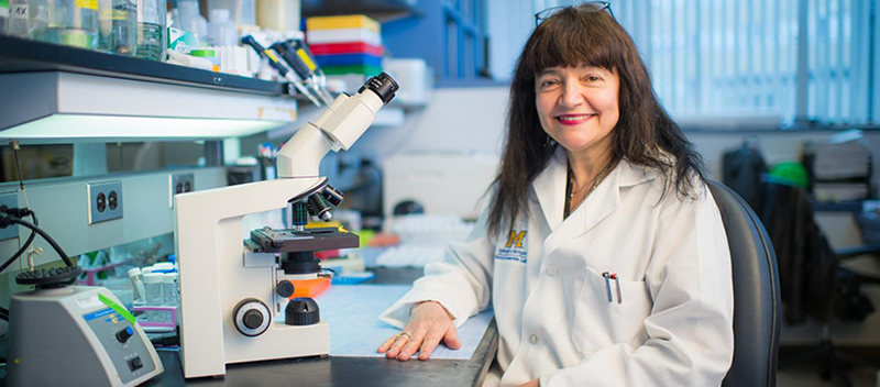 Maria Castro, MD, PhD sits at her bench in the laboratory